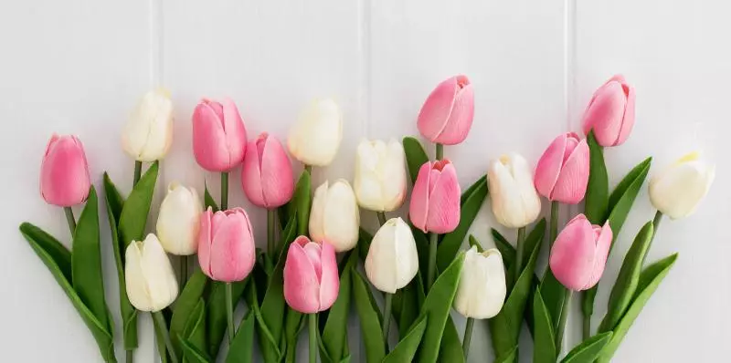 С праздником 8 Марта, милые женщины!