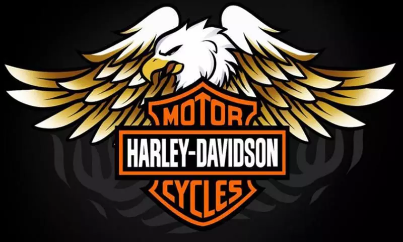 «Гараж мечты» в стиле «Харли Дэвидсон» (г. Екатеринбург)