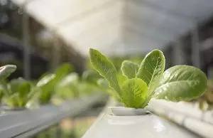 Ферма в гараже картинка