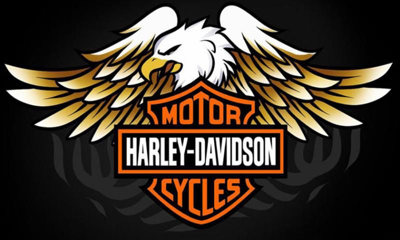 «Гараж мечты» в стиле «Харли Дэвидсон» (г. Екатеринбург)